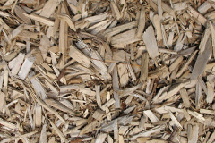 biomass boilers Letterbreen
