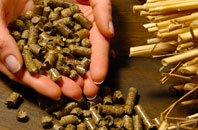 free Letterbreen biomass boiler quotes